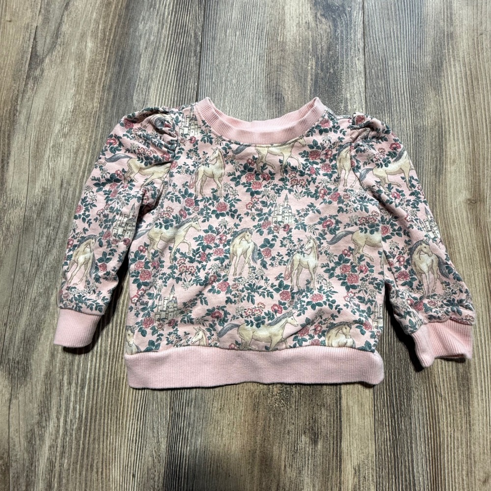 Janie and Jack Sweatshirt Pink Unicorn Floral Whimsical Storybook